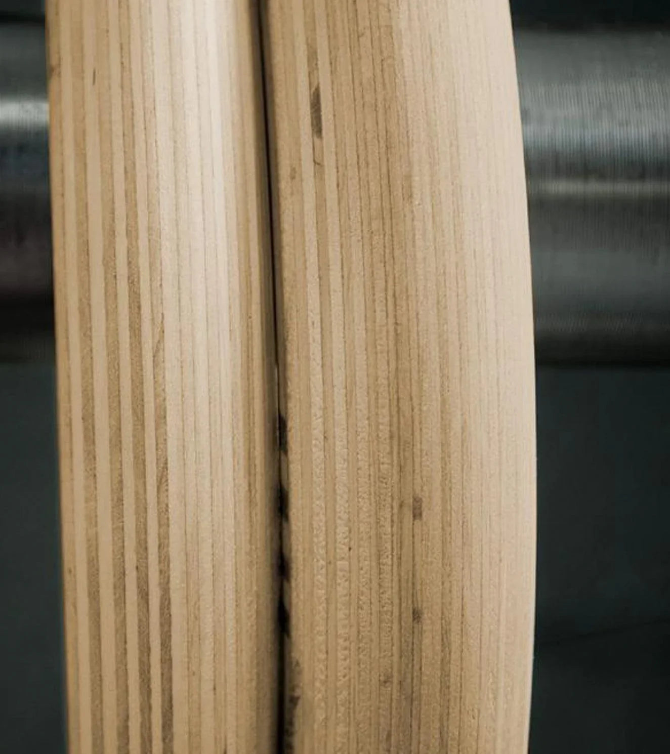 Gymnastic Rings - wodarmour