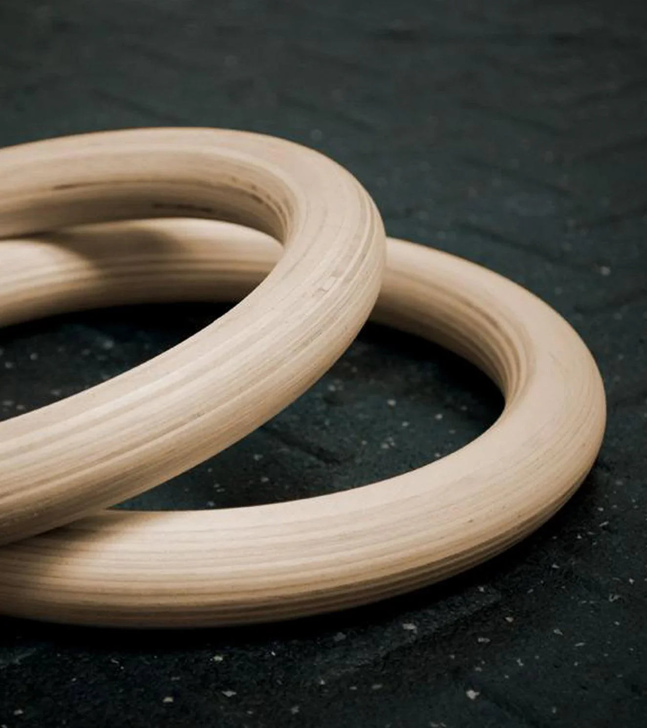 Gymnastic Rings - wodarmour