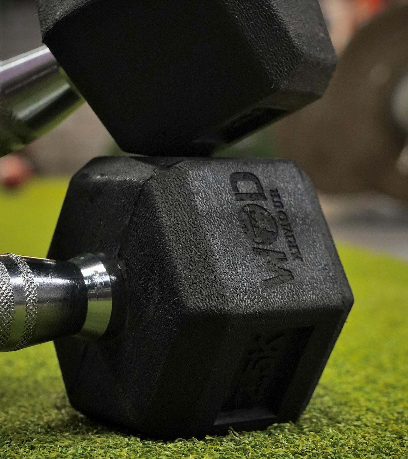 Hexa Dumbells - wodarmour