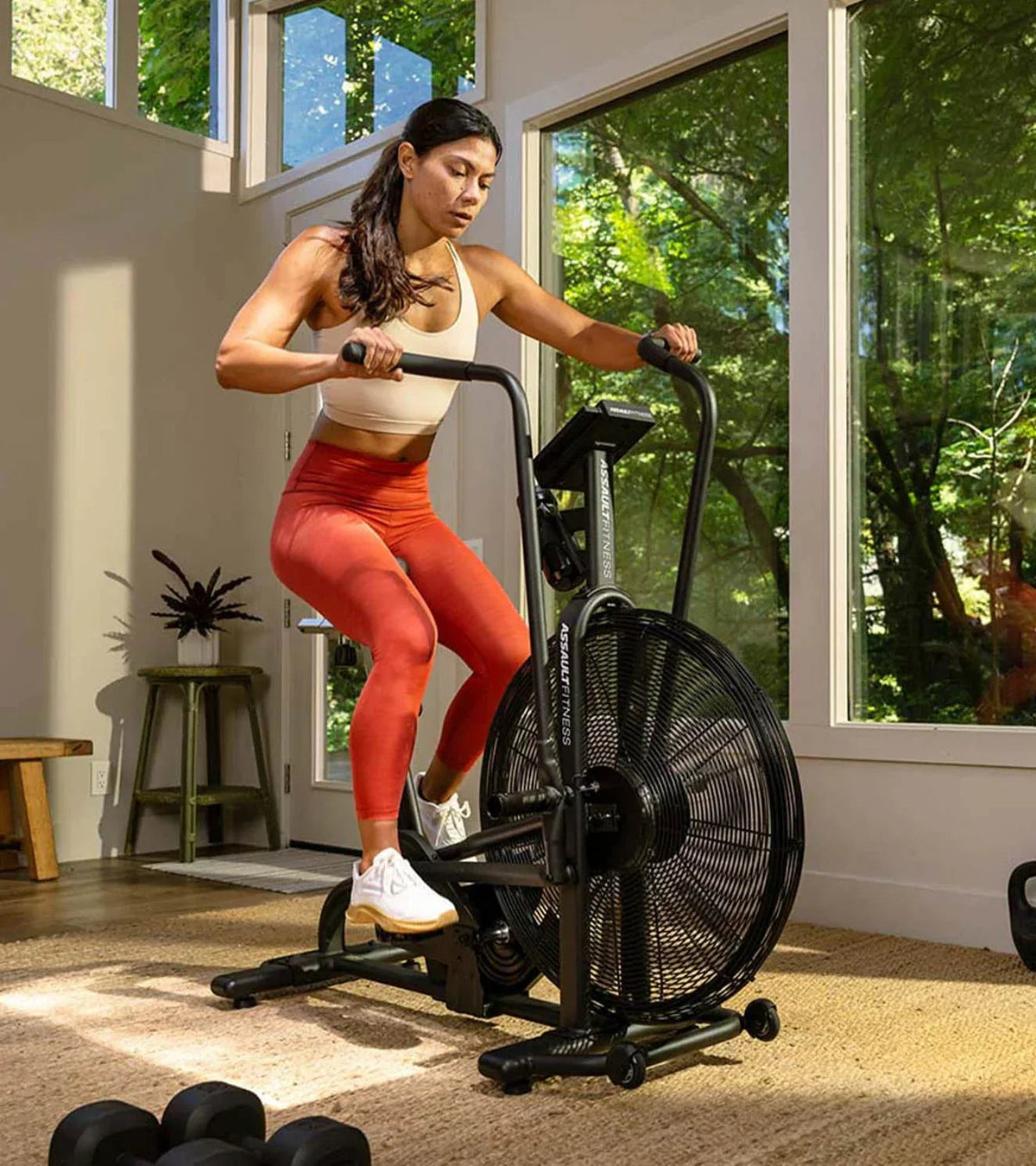 Assault Air Bike Classic fan bike for CrossFit and HIIT training in India