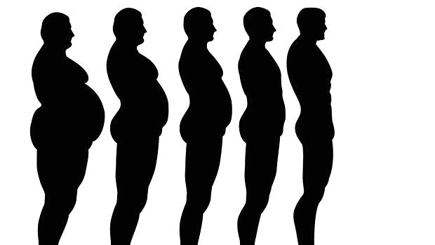 Silhouette progression of male body shapes showing belly fat loss and fitness transformation