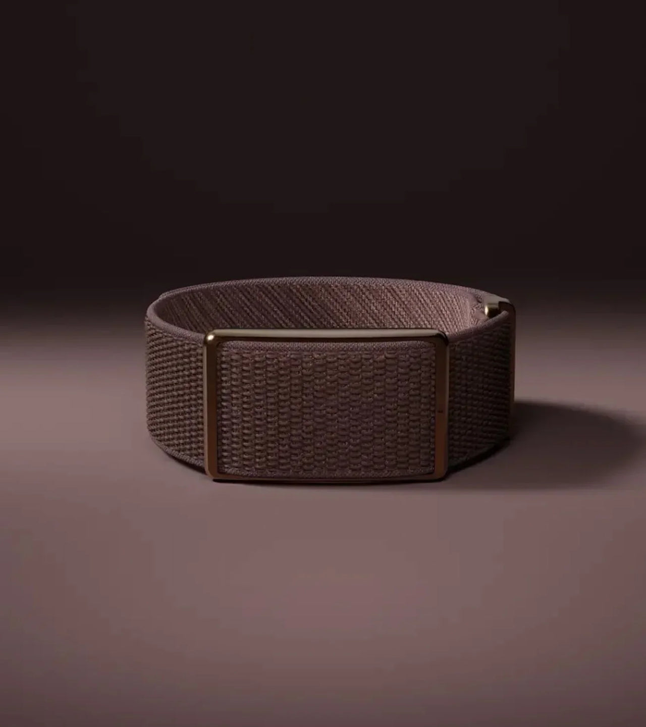 polar loop authorised dealer