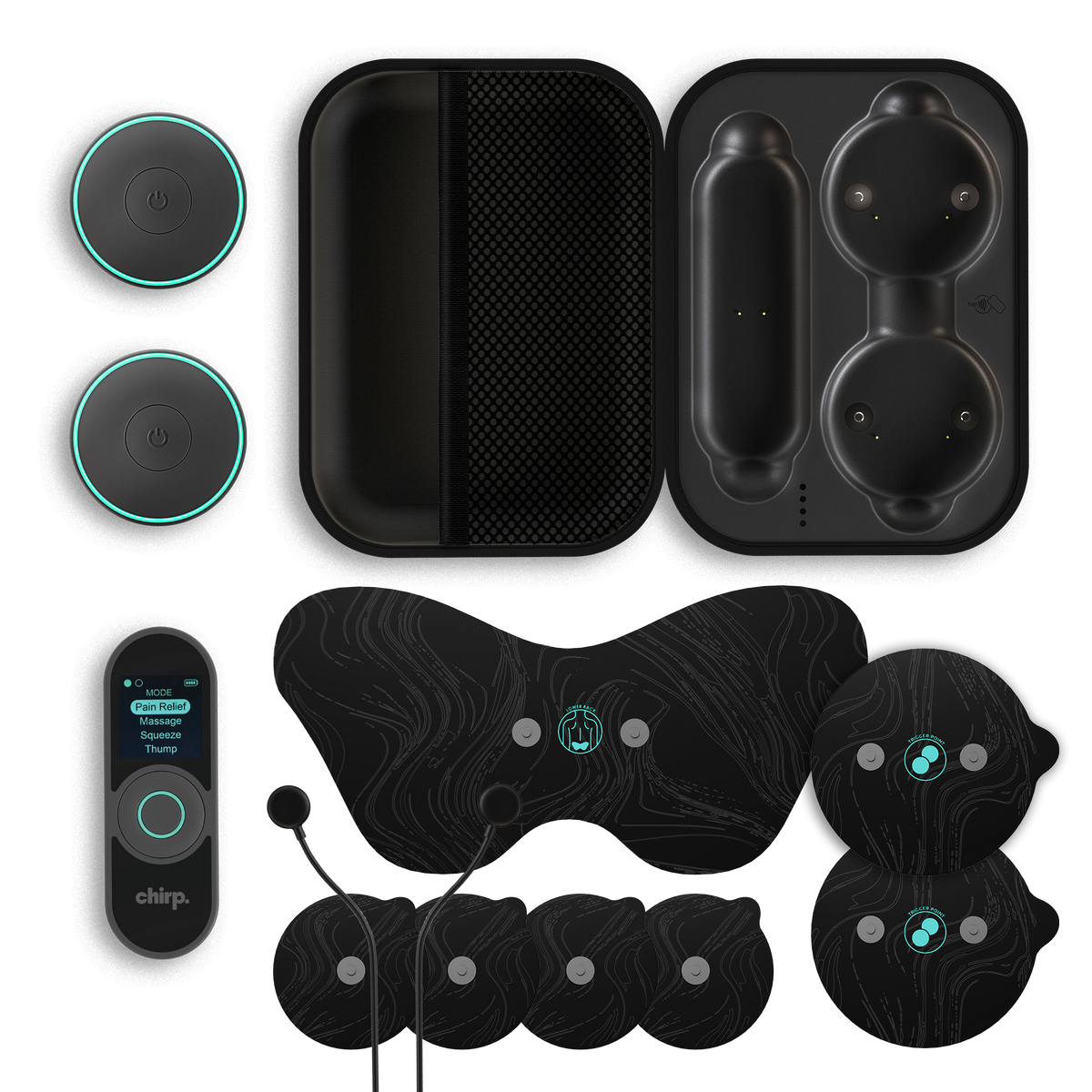 Chirp Halo what's in the box – pucks, remote, charging case, pads and extension cables