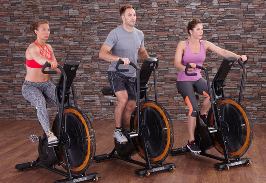 Octane Fitness Airdyne ADX Fan Bike - wodarmour